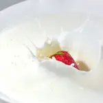 Hvordan forlænger en vakuumbeholder madvarers holdbarhed?