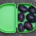 Beholder krydsord - se mulige løsninger her