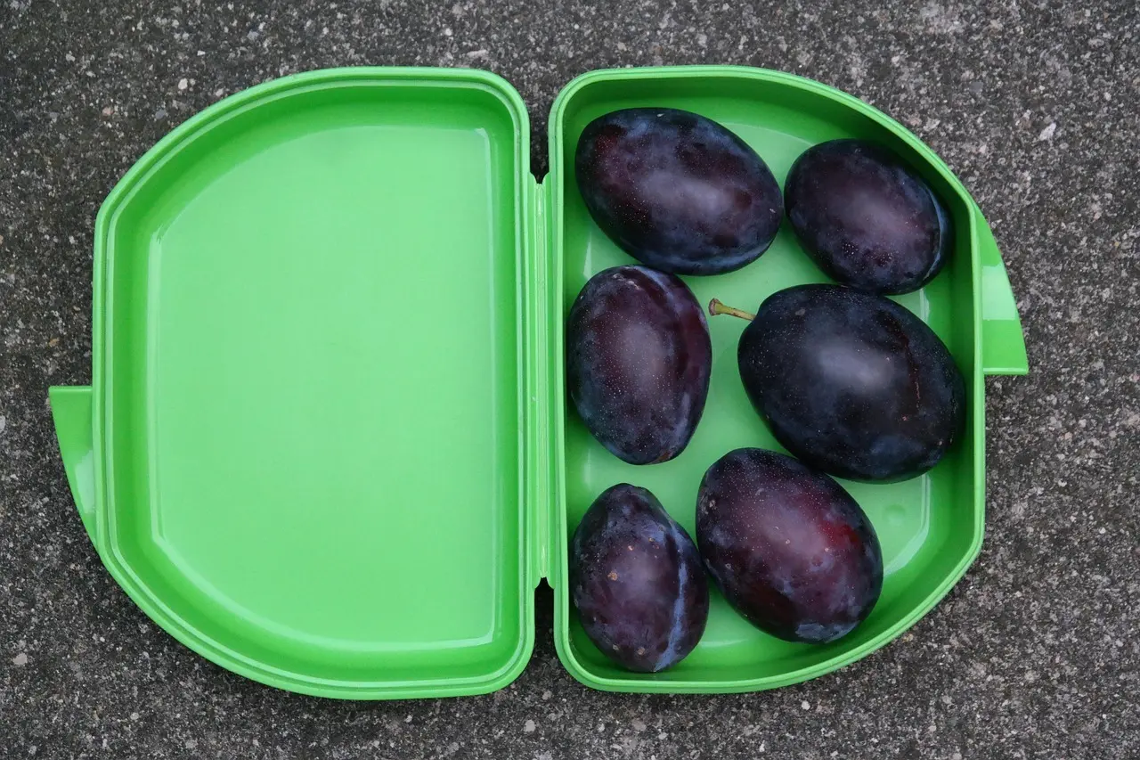 Beholder krydsord - se mulige løsninger her